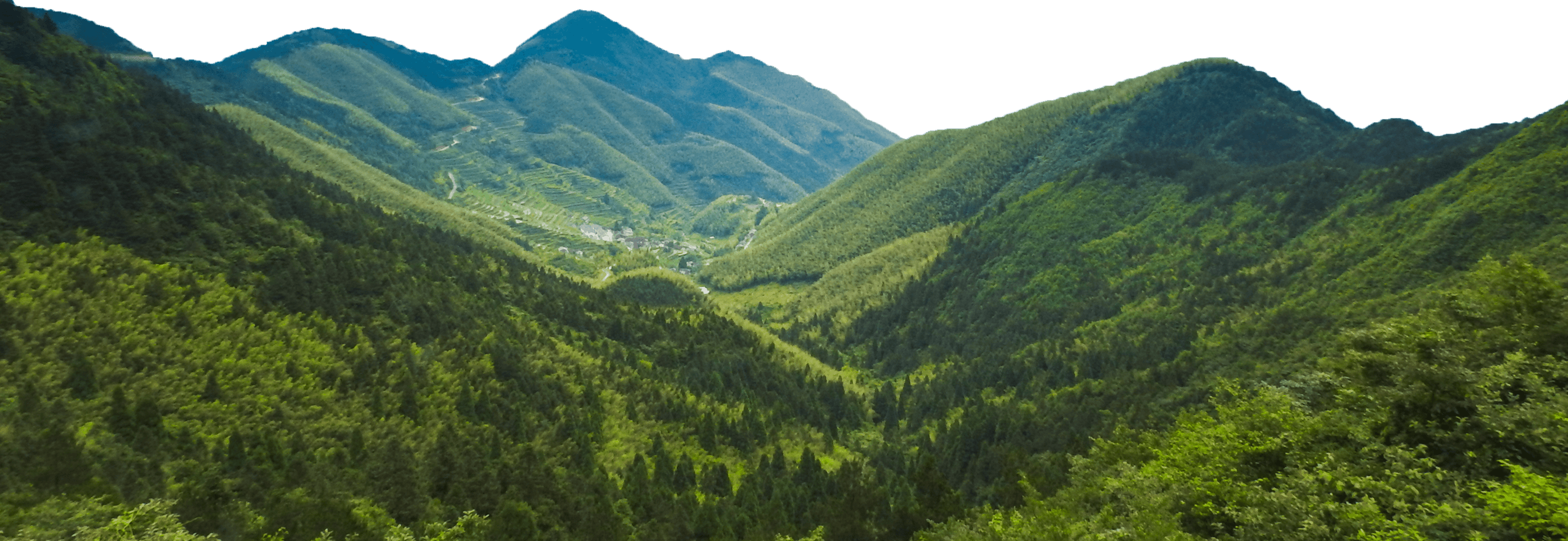 Lovepik_com-401563651-green-mountains-under-blue-sky-and-white-clouds (1)